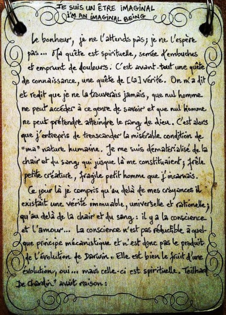 IMG_1892-1-737x1024 Je suis un être imaginal