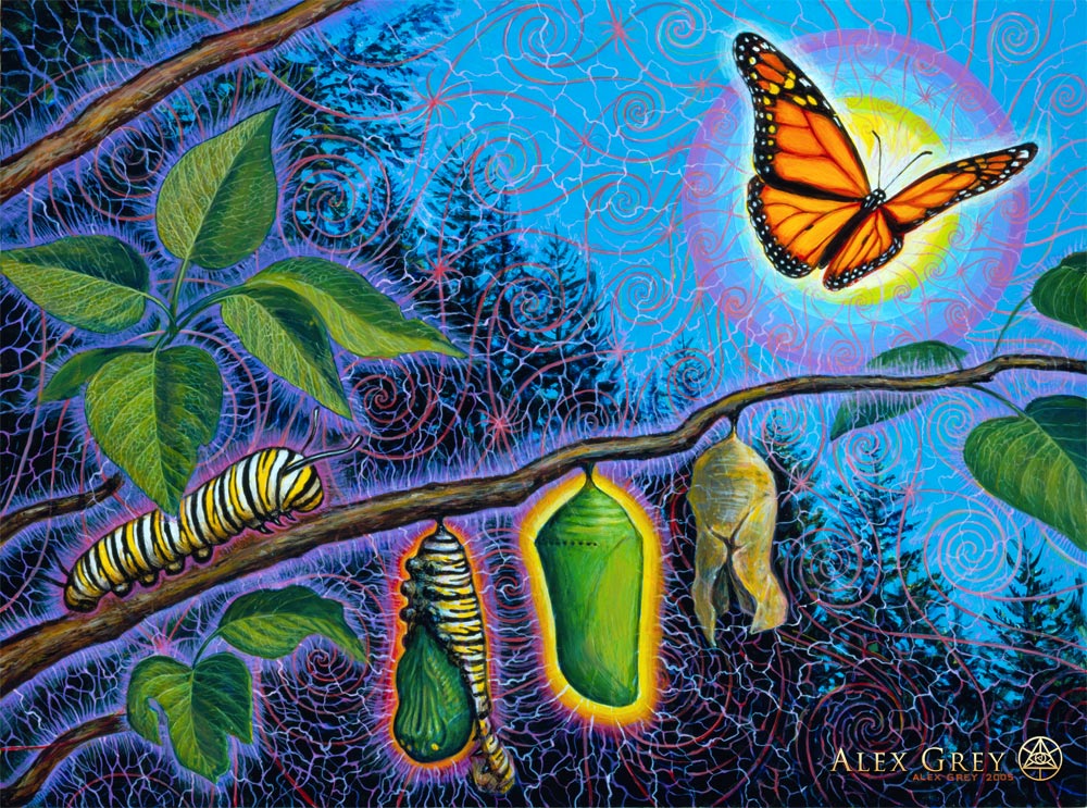 imaginal-alex_grey_metamorphosis I am an imaginal being